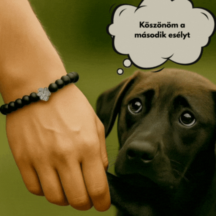 Kutyákért Karkötő