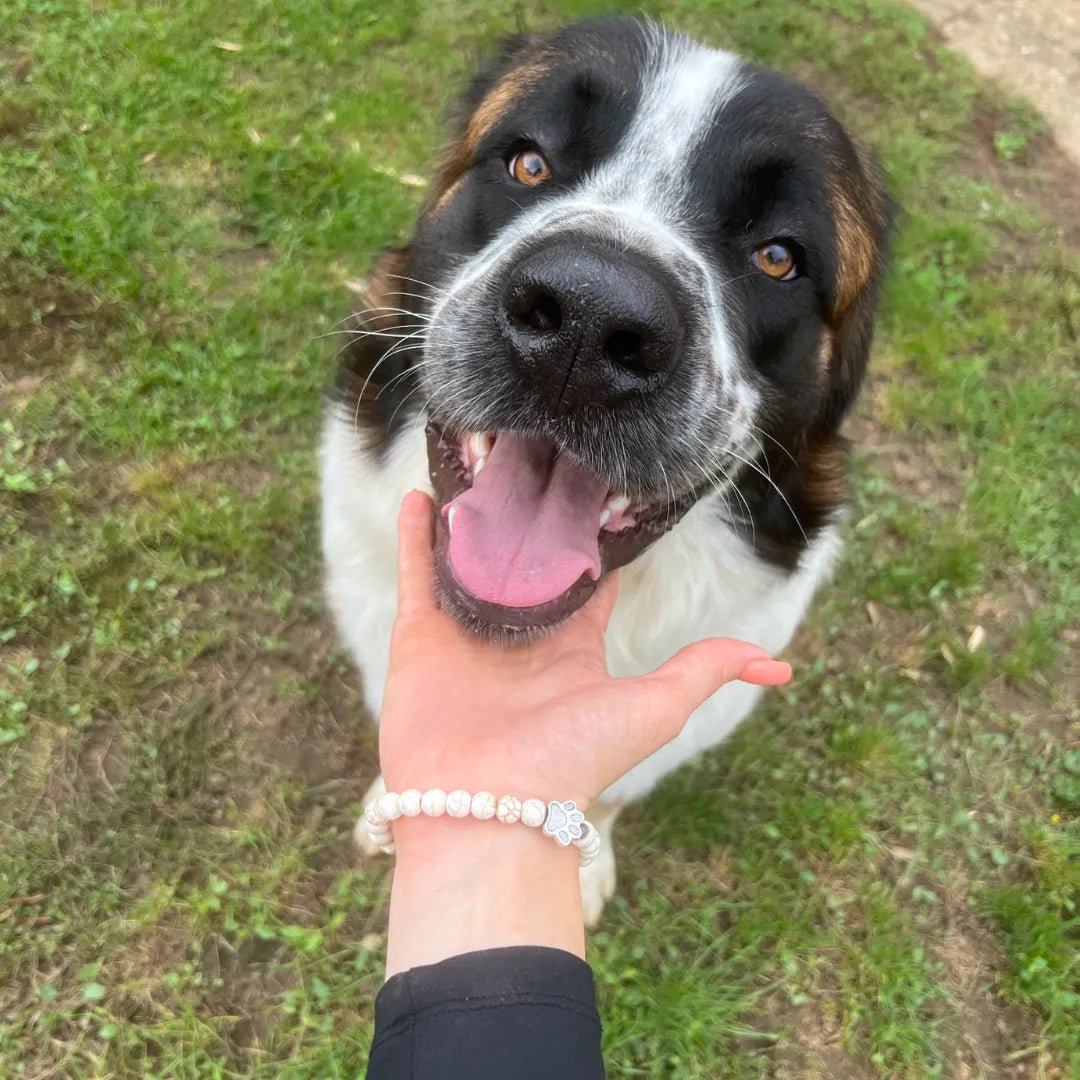 mancsmentő_karkötő - mancsmentő